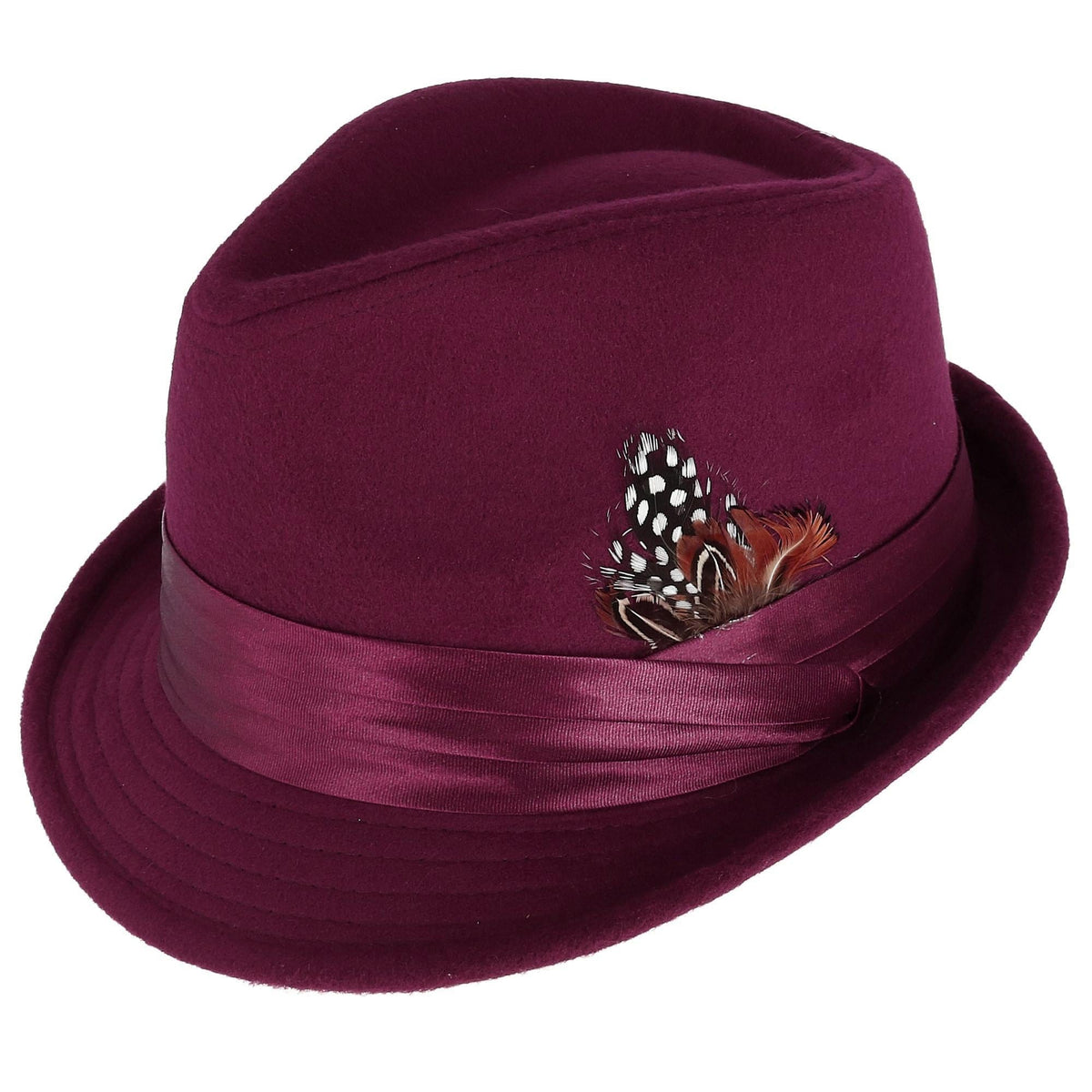 Men's Dressy Faux Felt Fedora with Feather by Kenny K | Fedoras at ...